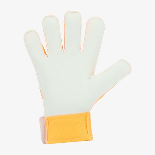 6691913